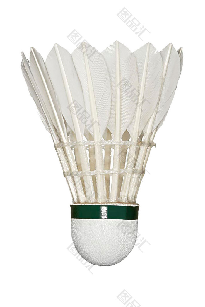 乒乓球队的 乒乓球队的