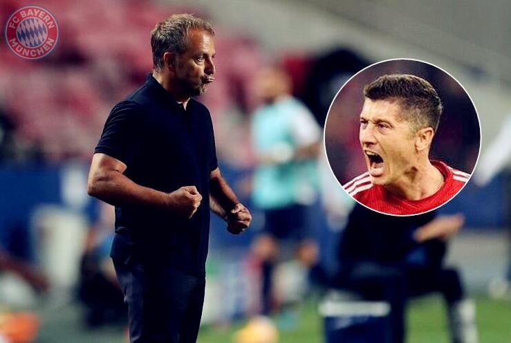 达洛特展现 达洛特展现