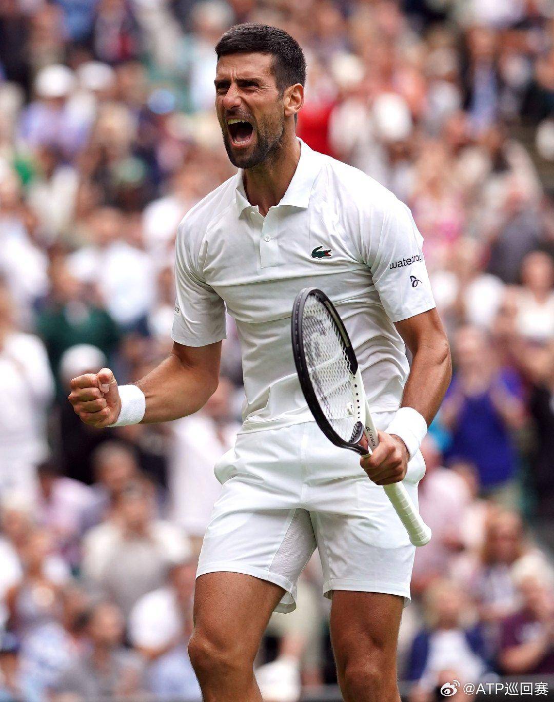 索的相关度 索的相关度